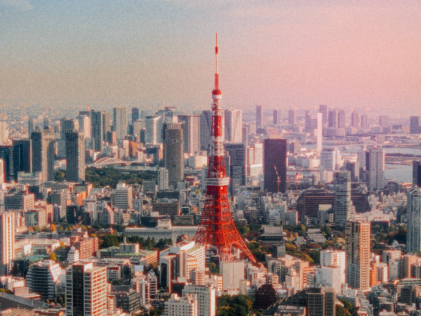 Cityscape overview representing ranked candidate signal