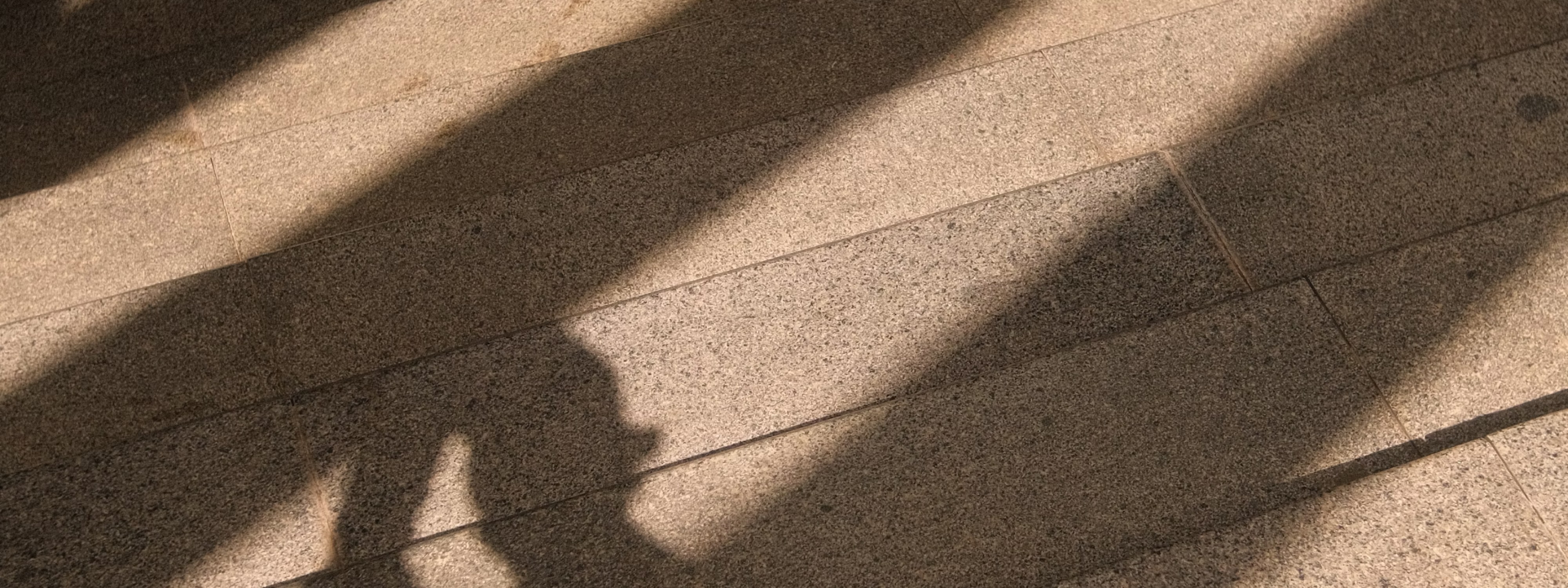 Candidate profile access represented by shadows